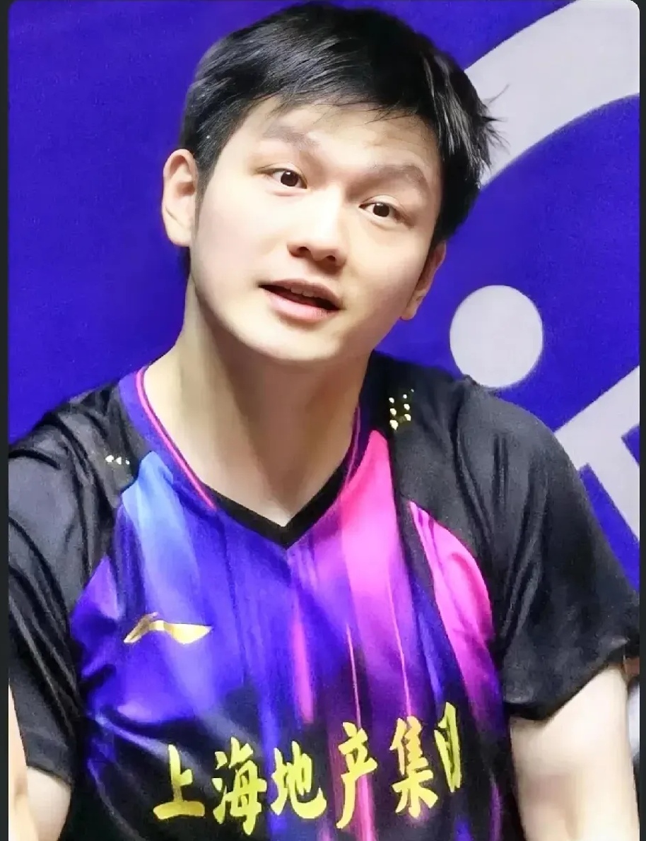 樊振东没有陪练原因分析 樊振东没有陪练原因分析